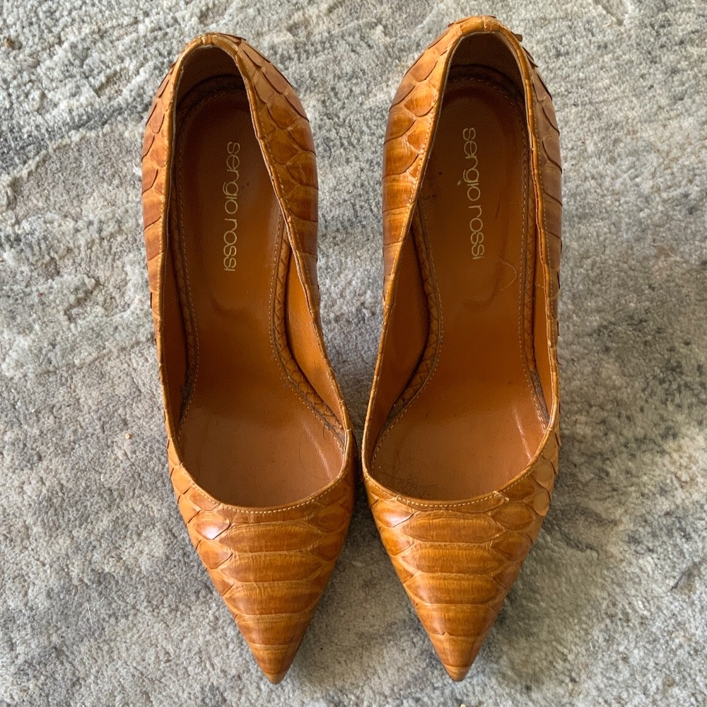 Sergio Rossi,Gorgeous Real Python Pumps - image 2